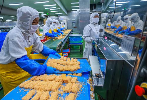 山東榮成:海洋食品生產加工忙