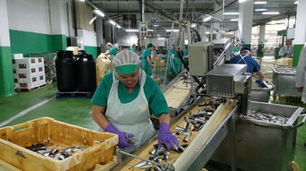 走出去 收購西班牙百年企業 引進來 高蛋白海產品回國