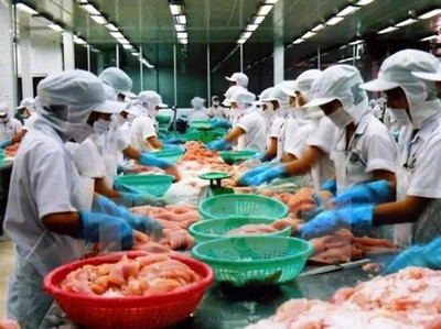 越南巴沙魚對華出口急劇下滑，食品加工產業面臨挑戰